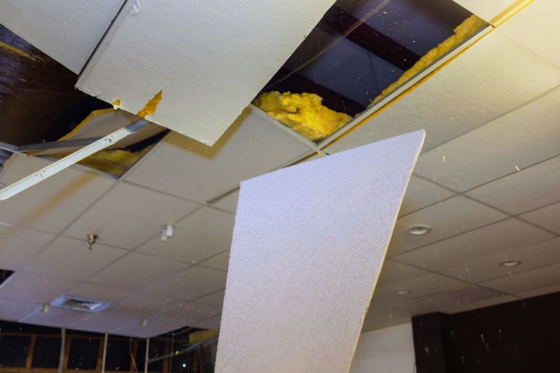 Local Ceiling Demolition Service in Elgin, IL