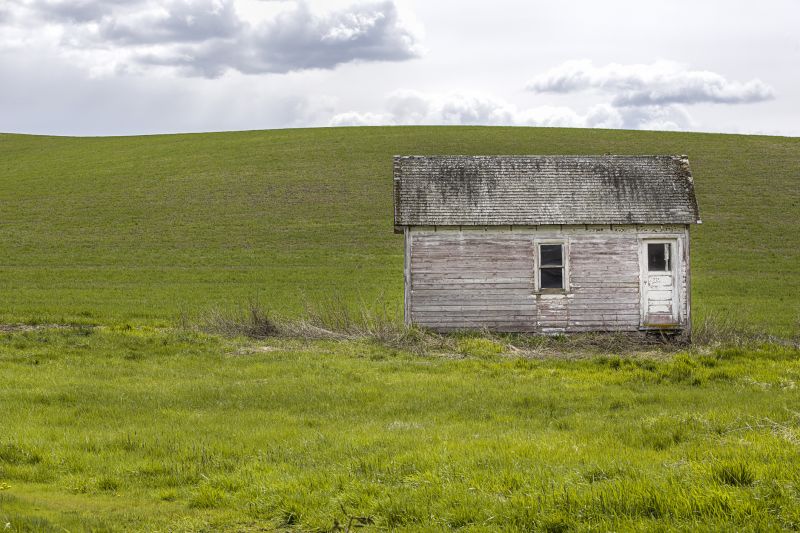 Local Shed Demolition in Chicago, IL