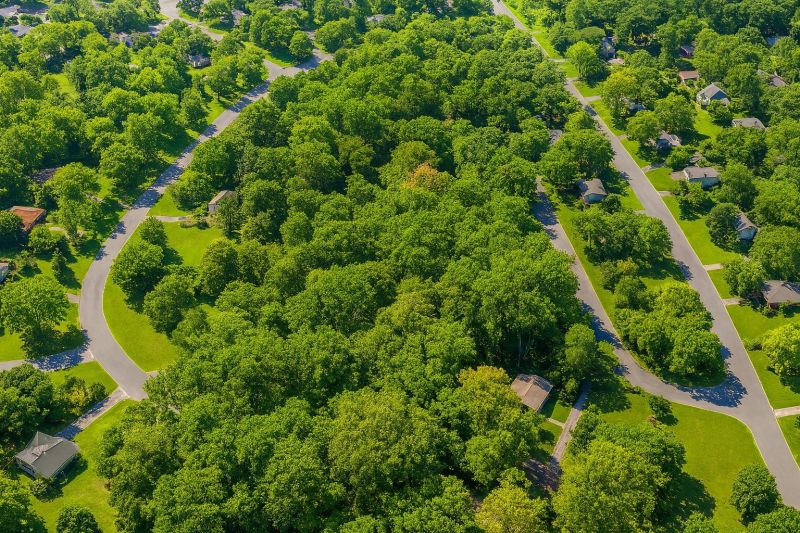Local Shed Demolition in Florham Park, NJ